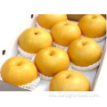 Pear Mahkota Golden Quality